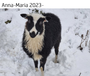 Anna-Maria 2024.jpg
